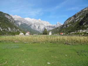 pajiști