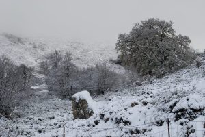 Harghita: Temperaturi de minus 14 grade Realitatea Rurala