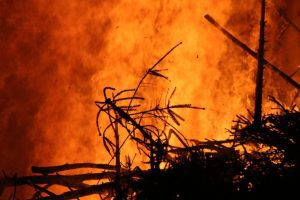 INCENDIU DE PROPORȚII ÎN MUNȚII SEBEȘULUI Stiri agricole