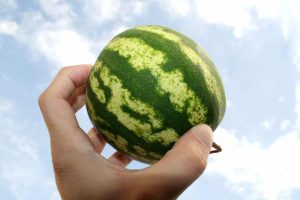 Dolj: Brandul "pepenele de Dăbuleni" este falsificat cu produse din import Agricultura