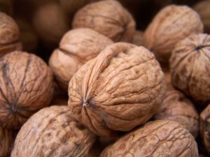 EVAZIUNE FISCALĂ DE DOUĂ MILIOANE DE LEI DIN COMERȚUL CU NUCĂ Agricultura
