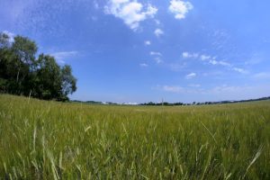 Brașov: Familia Șoneriu a pierdut anul trecut un contract de arendă pentru 2.500 de hectare ale ADS Comunicate