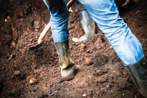 Locuri de muncă în agricultura din Europa, pentru sibieni Agricultura europeană