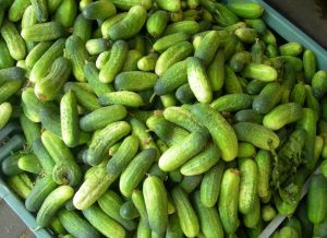 castraveții