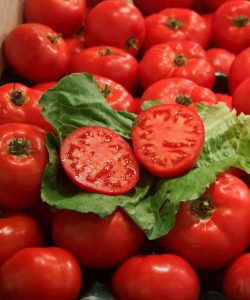 PRIMII BANI PENTRU PRODUCĂTORII DE TOMATE DIN PROGRAM AU AJUNS LA FERMIERI Stiri agricole