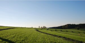 APIA: Informaţii privind transferul de exploataţie Agricultura
