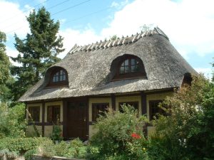 DOAR UN SFERT DIN POLIȚELE DE ASIGURARE PENTRU LOCUINȚE, ÎN MEDIUL RURAL Subventii