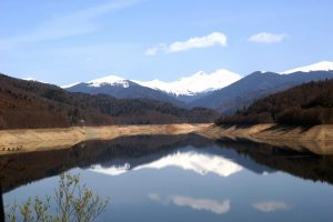 GUVERN: A fost adoptată legislaţia pentru organizarea și funcționarea Agenţiei Zonei Montane Agricultura