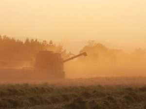 Irimescu vrea un sistem informatic de raportare şi centralizare a datelor privind producţiile agricole Agricultura