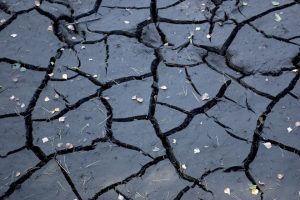 Seceta pedologica persista! Prognoza agrometeo 14-20 ianuarie Stiri agricole