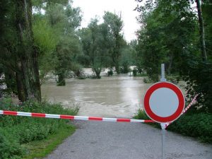 Harghita: Gospodării inundate, terenuri agricole și drumuri afectate în două localități, în urma unei ploi torențiale Agricultura