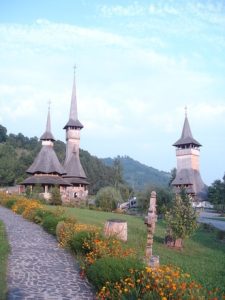 ANT: Pe ce a mizat fiecare regiune a țării de Sărbători Agricultura