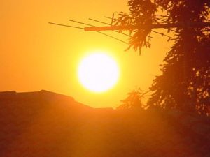 Meteorologii prelungesc până sâmbătă atenționarea Cod galben de caniculă . Vezi ce regiuni vor fi afectate! Agricultura