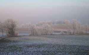 Dr. Ioan Puiu: Un ger fără zăpadă ar distruge tot Actualitate avalanse