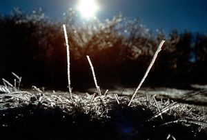 METEO: Cum va fi vremea în perioada 14-27 martie Agricultura