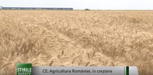 C.E.:Agricultura din România este în creştere Agricultura
