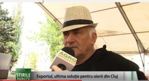 Exportul, ultima soluție pentru crescătorii de ovine din Cluj Agricultura