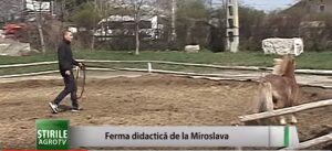 Iaşi: Ferma didactică de la Miroslava Agricultura