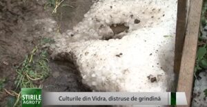 Știri: Culturile din Vidra, distruse de grindină Agricultura