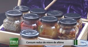 Iași: Consum foarte redus de miere Agricultura