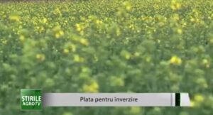 APIA: Plata pentru înverzire. Cine și cum o poate obține Agricultura
