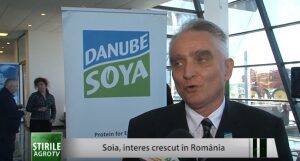 Interes crescut pentru culturile de soia. Agricultura