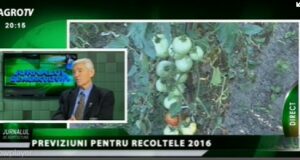 Valeriu Tabără, ex-MADR: Cred că ar trebui să acordăm o atenție deosebită refacerii serelor Agricultura