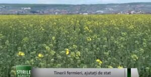 Tinerii fermieri, ajutati de stat Agricultura