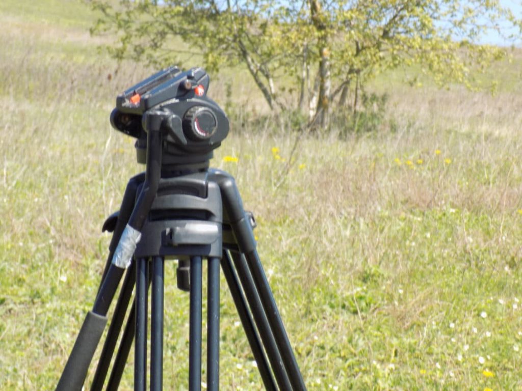 Ce afaceri neagricole au fost selectate până acum pe noul PNDR, prin măsurile 6.2 şi 6.4 12 Ce afaceri neagricole au fost selectate până acum pe noul PNDR, prin măsurile 6.2 şi 6.4 Ce afaceri neagricole au fost selectate până acum pe noul PNDR, prin măsurile 6.2 şi 6.4 Agricultura