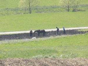 Drăgan (IER): 97% dintre fermieri nu sunt eligibili pentru PNDR PNDR