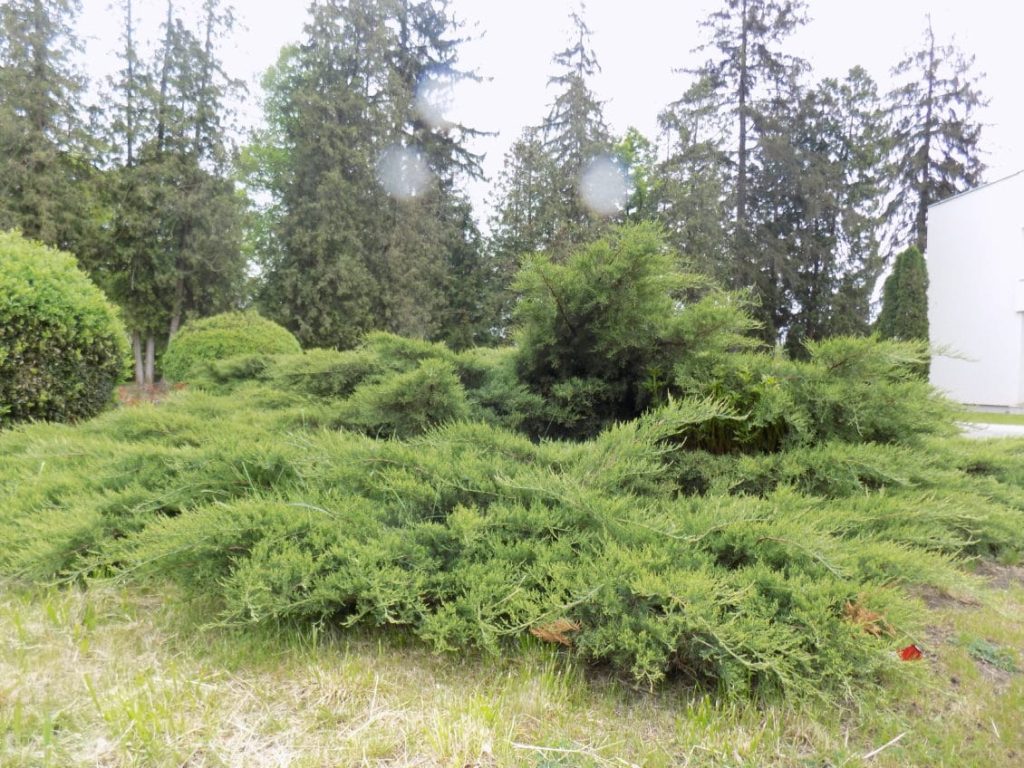 Meteo: Cum va fi vremea până în 29 mai 14 Meteo: Cum va fi vremea până în 29 mai Meteo: Cum va fi vremea până în 29 mai Agricultura