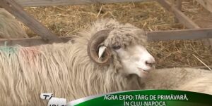 Târguri şi expoziţii: Agra Expo Transilvania, din nou, la Cluj Agricultura