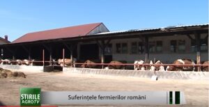 Suferințele fermierilor români Agricultura