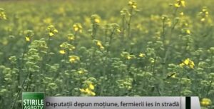 Fermierii ies în stradă Agricultura