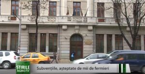 Subvenţiile aşteptate de mii de fermieri Agricultura