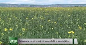 Subvenţia pentru pajişti, accesibilă şi asociaţiilor Agricultura