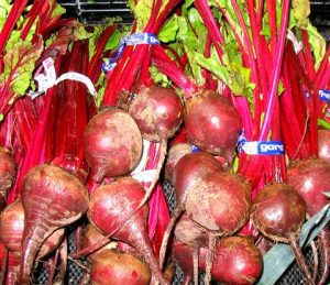 Cultura de sfeclă roşie, de la A la Z Agricultura