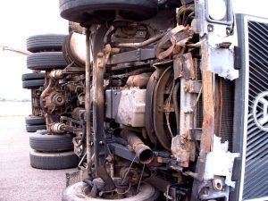 Sălaj: 340 de oi moarte după ce TIR-ul care le transporta s-a răsturnat Realitatea Rurala