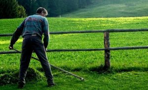 Guvernul vrea să reducă TVA-ul pentru umblatul cu coasa și săpatul gropilor Realitatea Rurala