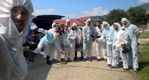 Abator din Codlea, depozit de carne expirată. Cum a descris un martor scena Realitatea Rurala