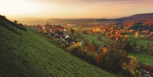 Ministerul Agriculturii a hotărât să desființeze camerele agricole Agricultura
