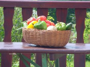 Legumele din Poiana Mare pot deveni brand naţional Agricultura