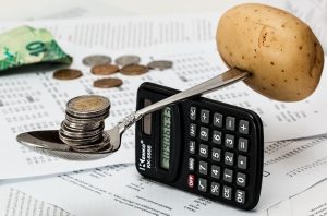 Câți bani a produs agricultura românească anul trecut Agricultura