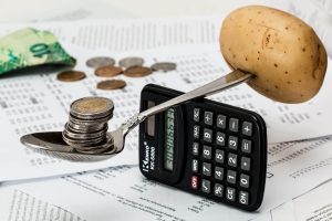Rectificare bugetară: Se dau banii pentru subvenţiile pentru motorină şi ajutorul de minimis pentru zootehnişti Agricultura