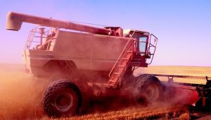 Elvețienii ne avertizează: “Agricultura intensivă contribuie la deșertificare” Agricultura