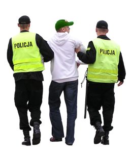 Buzău: Tânăr, la furat de lucernă Realitatea Rurala