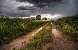 Instabilitate atmosferică accentuată până vineri, la ora 10:00 Realitatea Rurala