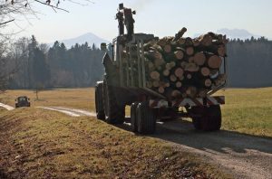 Un tânăr a murit strivit de tractor Agricultura