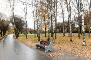 Cod portocaliu pentru ploi însemnate cantitativ Agricultura