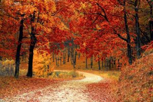 Prognoza agrometeorologică pentru perioada 30 septembrie – 6 octombrie Viata la tara